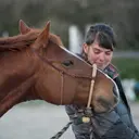 Výcvik koně je také o vztahu.