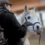 Chris Dahlgren training a horse